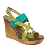 Elevate your look in Bandolino's Volume wedge sandals. A cheeky criss-cross strap and a bold color palette take these wedges from the beach to the boardwalk in a snap.