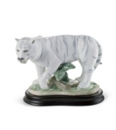 Out of the wild, into your living room. An exceptionally rare and exotic white tiger stalks its prey in this artfully handcrafted porcelain figurine from Lladro.