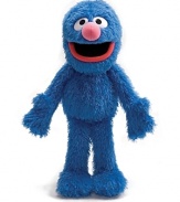 From Sesame Street to your street, Grover is one of everybody's favorite characters. Soft, plush and very huggable.
