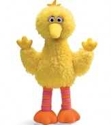 Add some color and cuteness to your child's life with a miniaturized Big Bird doll. Plush and super soft.