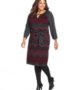 Fend of the frost in style with Spense's plus size sweater dress, accentuated by a belted waist.