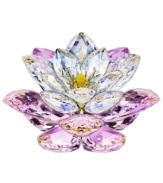 Blooming in iridescent pinks and white, the Rosaline Waterlily figurine lends dazzling splendor to any Swarovski collection. Featuring exquisitely crafted crystal with silvertone metal detail.