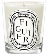 This candle recalls fig trees warmed by the sun. All parts of the tree are represented here. The fig tree is slightly fruity with green and woody notes that give it character.Fruity 50-60 hours burn time Keep wick trimmed to ½ to ensure optimal use Hand poured and made in France 