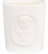 To celebrate 50 years of creation, innovation and passion for perfume in all its forms, the 34 boulevard saint germain range pays homage to an unusual history. This LIMITED EDITION candle scent was inspired by the atmosphere of the workshop of Desmond Knot-Leet, one of the three founders of the brand.The fragrance expresses the eclectic nature of the subtle, unusual collection, from which the creators drew their inspiration.