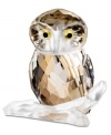 This eye-catching owl figurine embodies the gentle bird's wise and peaceful spirit in faceted Swarovski crystal. With golden feathers, topaz eyes and a matte crystal perch.