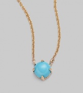 A smooth drop of sleeping beauty turquoise suspended on a delicate cable chain.Sleeping beauty turquoise 14K gold Length, about 16 Spring clip clasp Made in USA 