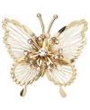 Fashion that blooms from Jones New York. This elegant pin is styled in a butterfly design and is embellished with glass accents. Crafted in gold tone mixed metal. Approximate length: 2 inches. Includes gift box.