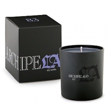 Stroll along the Seine, admire the lights of the Eiffel Tower, and feel the passion of the couples that dot the sidewalk and park benches of the city. Fragrance number 83 causes that heart to skip a beat with its blend of Bourbon Vanilla. Sultry Votive, warm Amber and shocking Bergamot. Stroll along the Seine, admire the lights of the Eiffel Tower, and feel the passion of the couples that dot the sidewalk and park benches of the city. Fragrance number 83 causes that heart to skip a beat with its blend of Bourbon Vanilla. Sultry Votive, warm Amber and shocking Bergamot.