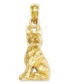 Honor your favorite breed. This polished charm features an intricately-carved German Shepherd dog in 14k gold. Chain not included. Approximate length: 9/10 inch. Approximate width: 2/5 inch.