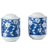 A classic beauty, Blue Meadow salt and pepper shakers feature delicate blooms rooted in fuss-free Pfaltzgraff stoneware. Crisp blue highlights in pure white refresh country settings with effortless elegance.