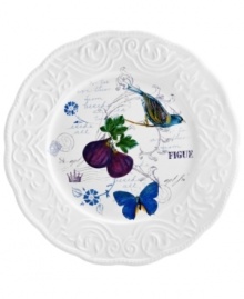 Ripe for the table, the Antique Countryside Fig dinner plate exudes charm with embossed vines and colorful nature scenes in traditional white stoneware. Complements Italian Countryside and Antique White dinnerware, also by Mikasa. Ripe for the table, the Antique Countryside Fig dinner plate exudes charm with embossed vines and colorful nature scenes in traditional white stoneware. Complements Italian Countryside and Antique White dinnerware, also by Mikasa.