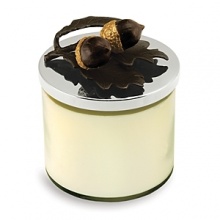 Michael Aram Signature Home Scents are weightless, subtle and universal yet exuberant and complex. These fragrances take their inspiration from the same organic motifs that made the artist famous.The acorn candle was inspired by the warm, earthy scent created by a burning fireplace. The essential elements in the base note are warm musk accented by red amber. Michael Aram Signature Home Scents are weightless, subtle and universal yet exuberant and complex. These fragrances take their inspiration from the same organic motifs that made the artist famous.The acorn candle was inspired by the warm, earthy scent created by a burning fireplace. The essential elements in the base note are warm musk accented by red amber.