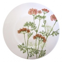 Villeroy & Boch Althea Nova Salad Plate Villeroy & Boch Althea Nova Salad Plate