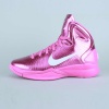 Nike Hyperdunk 2010