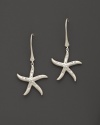 Organic and playful, India Hicks' Starfish earring evokes the beauty of the life aquatic.