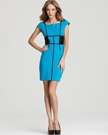 Cynthia Steffe Dress - Taylor Color Block Sheath