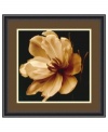 Sepia magnolia. Delicate petals unfurl in a perfect bloom in Timeless Grace II by Charles Britt. Floating on a dark ground, this floral portrait is a fresh perspective on the natural world. Featuring black frame with beaded edge.