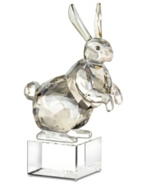 Get spiritual with the zodiac symbol for peace, stability and tranquility – the rabbit. Captured in smooth and faceted silvertone crystal, this Swarovski figurine features an authentic Asian design atop a base engraved with English and Chinese seal script. Get spiritual with the zodiac symbol for peace, stability and tranquility – the rabbit. Captured in smooth and faceted silvertone crystal, this Swarovski figurine features an authentic Asian design atop a base engraved with English and Chinese seal script.