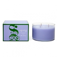 Lilac blossoms and the leafy green notes of English ivy are blended with watery nuances reminiscent of the morning dew. 3-Wick Candle burns approximately 95 hours. Lilac blossoms and the leafy green notes of English ivy are blended with watery nuances reminiscent of the morning dew. 3-Wick Candle burns approximately 95 hours.