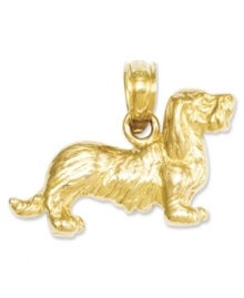 Honor your favorite breed. This shiny charm features an intricately-carved long-haired dachshund in 14k gold. Chain not included. Approximate length: 3/5 inch. Approximate width: 7/10 inch. Honor your favorite breed. This shiny charm features an intricately-carved long-haired dachshund in 14k gold. Chain not included. Approximate length: 3/5 inch. Approximate width: 7/10 inch.