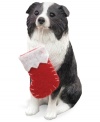 Bark up the right tree with a Christmas ornament for your dog – or a fellow animal lover! A clever black-and-white border collie begs for a stocking full of bones. From Sandicast.