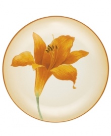 Make everyday meals a little more fun with Colorwave dinnerware from Noritake. The daylily accent plate stands out amid any combination of rim, coupe and square pieces for a tabletop that's endlessly stylish.
