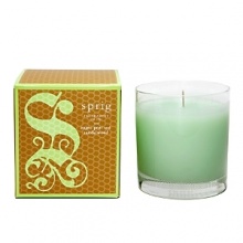 Juicy Anjou pear is combined with luscious notes of fresh pineapple, cramy sandalwood and Tonka bean. Juicy Anjou pear is combined with luscious notes of fresh pineapple, cramy sandalwood and Tonka bean.
