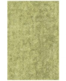 Add a pop of pure, shimmering green to any modern room with the Metallic area rug from Dalyn. Hand-tufted of soft polyester, this high-luster shag area rug puts comfort and fun back in floor decor. Add a pop of pure, shimmering green to any modern room with the Metallic area rug from Dalyn. Hand-tufted of soft polyester, this high-luster shag area rug puts comfort and fun back in floor decor.