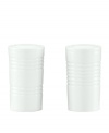 The ridged pattern of Tin Can Alley set puts a modern spin on these salt and pepper shakers from Lenox dinnerware. Dishes in this collection, including these accessories, feature glazed white porcelain for coordinating with any table and decor. Qualifies for Rebate