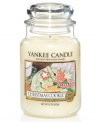 Create the illusion of baking batch after batch with the Christmas Cookie candle. A rich, buttery scent with notes of sweet vanilla give this Yankee Candle favorite its feel-good holiday aroma.