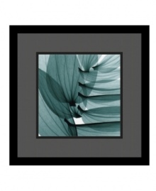 Wall-ready in black satin finished wood frame and protected with a gallery-quality, premium acrylic glaze, the artist Steven Meyers' x-ray image of lily leaves captures the transparent beauty of plants seldom seen before. Plus, its striking abstract composition will captivate many viewers. Wall-ready in black satin finished wood frame and protected with a gallery-quality, premium acrylic glaze, the artist Steven Meyers' x-ray image of lily leaves captures the transparent beauty of plants seldom seen before. Plus, its striking abstract composition will captivate many viewers.