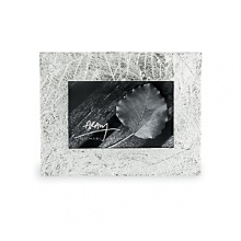 Michael Aram finds inspiration from nature for many of his handcrafted metalware pieces. The Forest Leaf frames are in tarnish resistant silverplate. Michael Aram finds inspiration from nature for many of his handcrafted metalware pieces. The Forest Leaf frames are in tarnish resistant silverplate.