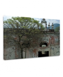 What's old is new in this large gallery-wrap canvas print by Ashley Beck. Ancient ruins shaded by a lone tree offer a unique and intriguing focus for contemporary decor.