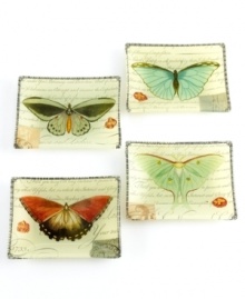 A natural beauty, this elegant set of Butterfly Prose plates layers intricate butterflies and romantic script in artfully colored glass. From Prima Designs. (Clearance) A natural beauty, this elegant set of Butterfly Prose plates layers intricate butterflies and romantic script in artfully colored glass. From Prima Designs. (Clearance)