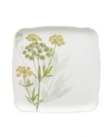 A natural for casual dining, the Althea Nova Charm square platter features durable porcelain planted with delicate herbs for a look that's fresh from the garden. The square plates collection from Villeroy & Boch is finished with a subtly scalloped, grass-green edge. A natural for casual dining, the Althea Nova Charm square platter features durable porcelain planted with delicate herbs for a look that's fresh from the garden. The square plates collection from Villeroy & Boch is finished with a subtly scalloped, grass-green edge.