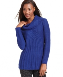 A cozy cowl-neck and sophisticated knit details add warmth and flair to this Style&co. sweater!