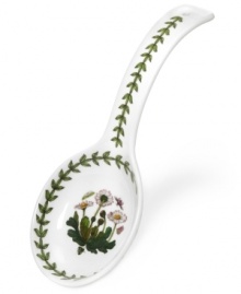 Replace drips and spills with the fresh florals of this Botanic Garden spoon rest. A leafy vine garnishes white porcelain with a lifelike dandelion motif, a perfect complement to Portmeirion's collection of dinnerware. The dishes are equally suited for use and display. Replace drips and spills with the fresh florals of this Botanic Garden spoon rest. A leafy vine garnishes white porcelain with a lifelike dandelion motif, a perfect complement to Portmeirion's collection of dinnerware. The dishes are equally suited for use and display.