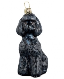 Just begging for a home, this toy poodle ornament has puppy dog eyes and a beautiful coat in hand-painted glass by Joy to the World. Just begging for a home, this toy poodle ornament has puppy dog eyes and a beautiful coat in hand-painted glass by Joy to the World.