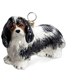 Just begging for a home, this Cavalier King Charles Spaniel ornament has puppy dog eyes and a beautiful brown, black and white coat in hand-painted glass by Joy to the World.